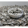 Export China Sunflower Seeds Food Ingredients Sunflower Seeds
